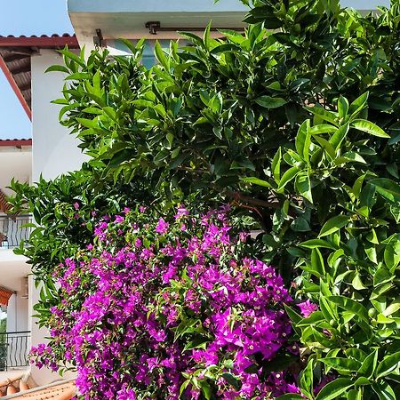 Xenios Loutra Village Mary'S House أغيا باراسكيفي المظهر الخارجي الصورة