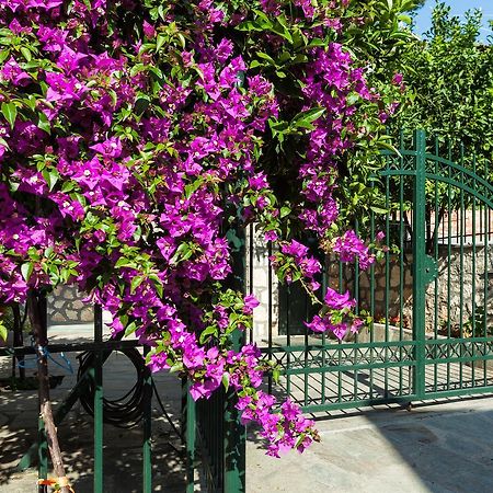 Xenios Loutra Village Mary'S House أغيا باراسكيفي المظهر الخارجي الصورة