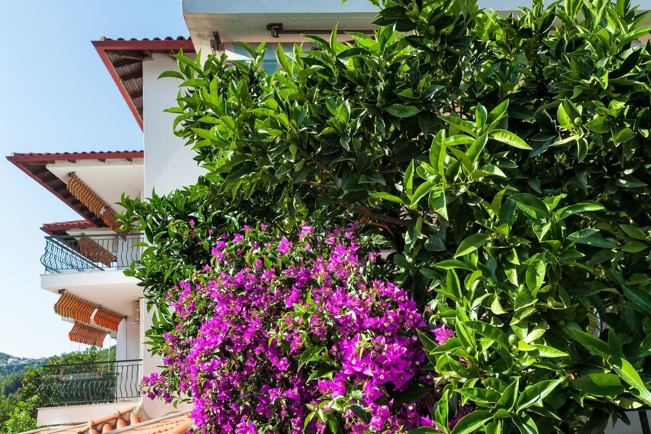 Xenios Loutra Village Mary'S House أغيا باراسكيفي المظهر الخارجي الصورة